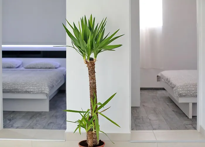 Apartament Goga Bibinje
